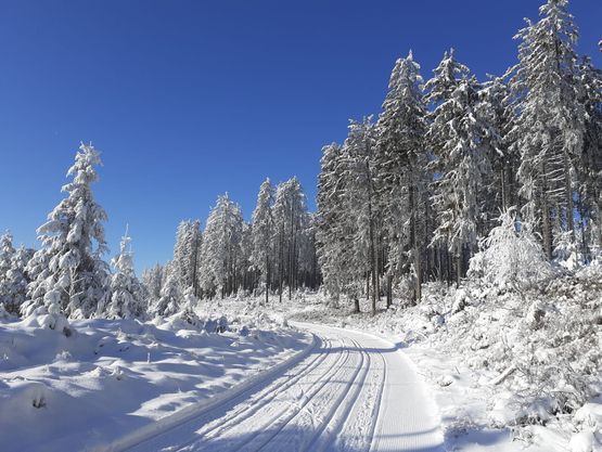 Gutenbrunn